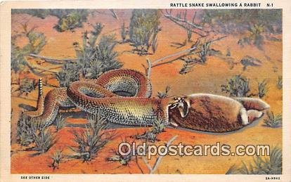 Rattle Snake, Rabbit 1944 