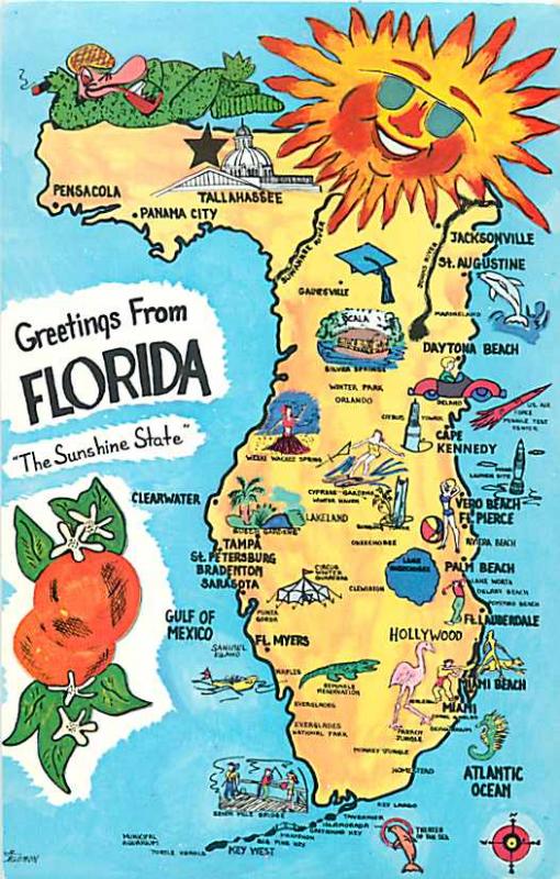 Greetings from Florida FL Map Sunshine State Chrome Postcard