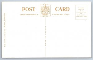 Rainbow Bridge & Niagara Falls From Canada, Harris Litho Co. Postcard, NOS