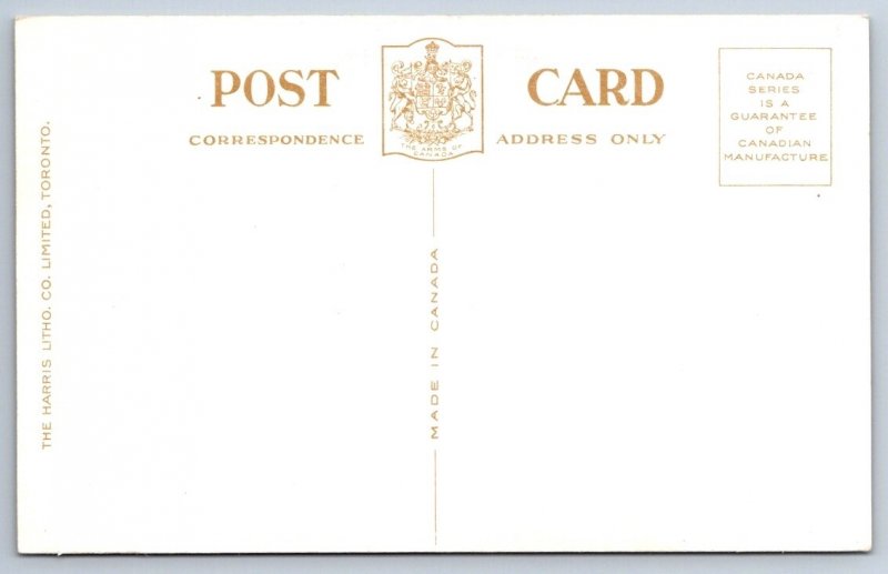 Rainbow Bridge & Niagara Falls From Canada, Harris Litho Co. Postcard, NOS