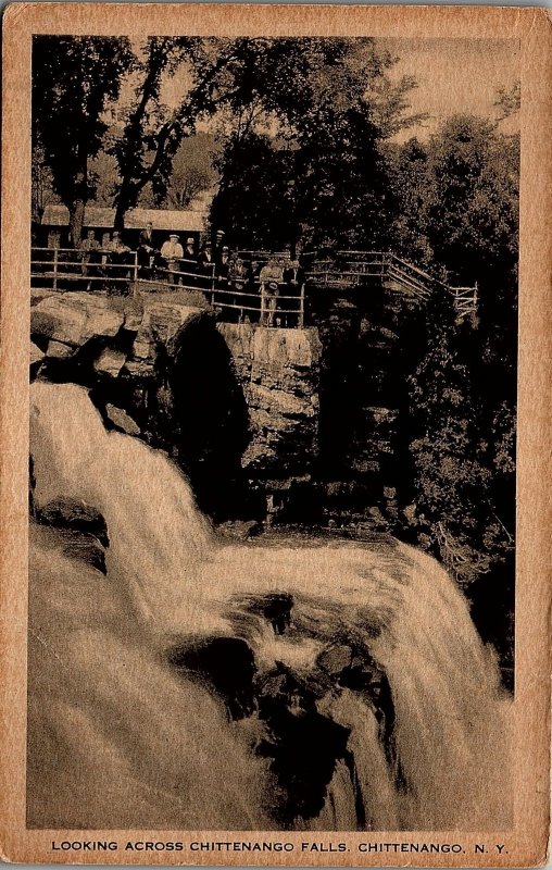 c1910 CHITTENANGO NY CHITTENANGO FALLS LOOKING ACROSS LITHO POSTCARD 25-182 