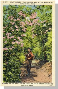 Gatlinburg,Tennessee/TN Postcard,Applachian Trail,Near Mint!