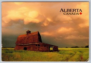 Old Barn,Alberta Canada, 2000s Chrome Postcard