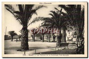 Old Postcard Dinard Les Palmiers De La Promenade Clair De Lune