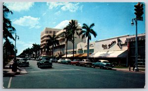 Miami Beach Florida~Palm Tree Lined Lincoln Road Showing Shops~Vintage Postcard