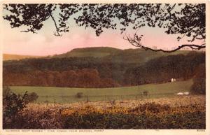 GLORIOUS WEST SUSSEX UK THE DOWNS FROM ARUNDEL PARK PHOTO POSTCARD