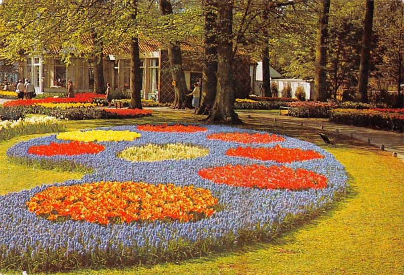 BR84809 keukenhof lisse holland netherlands