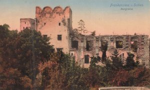 Frankenstein Castle Ruins- Ząbkowice Śląskie Poland-1921 Postcard