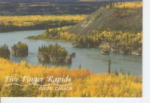 Postal 042025 : Five Finger Rapids. Yukon Canada