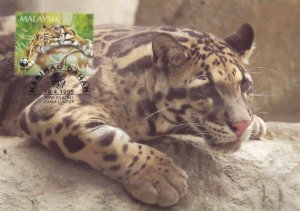 Clouded Leopard Malaysian WWF Stamp First Day Cover Postcard