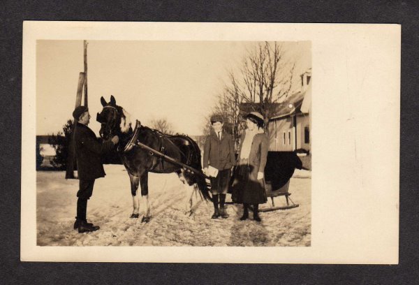 Real Photo Postcard Horse winter Sleigh RP RPPC Carte Postale