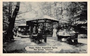 Happy Hollow Magnesium Spring, Hot Springs, Arkansas 1948 Rare Vintage Postcard