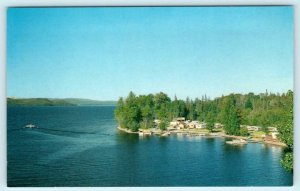 FRANCOIS LAKE, British Columbia Canada ~ Shoreline View ca 1960s-70s  Postcard