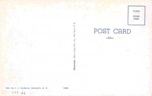 Cobleskill Panorama New York 1950s postcard