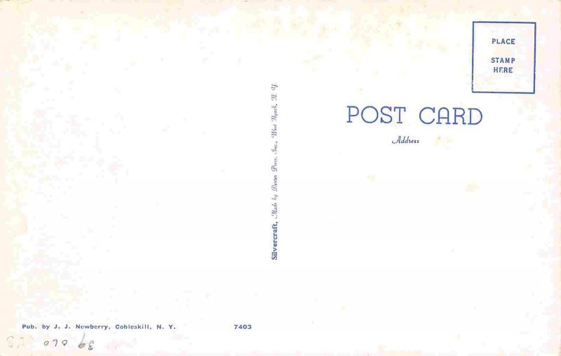 Cobleskill Panorama New York 1950s postcard