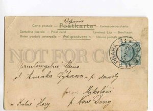 279812 HUNT Dressed FROG Hunter GRASSHOPPER Vintage 1900 year