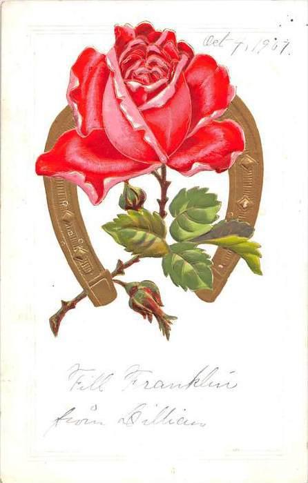 A pink rose and a  Good Luck Horseshoe