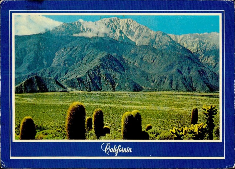 IMN04728 mt san jacinto from the devil s garden   california usa 