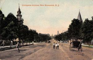 New Brunswick New Jersey horses buggies Livingston Avenue antique pc Y11504