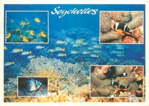 Seychelles postcard