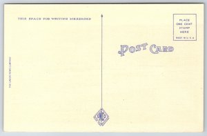 Springfield Massachusetts~Feeding Ducks @ Forest Park Scene~Vtg Linen Postcard