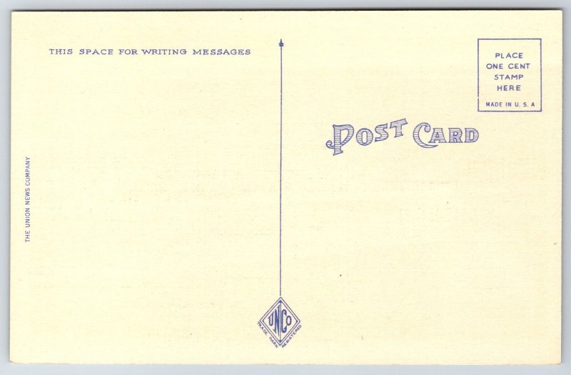 Springfield Massachusetts~Feeding Ducks @ Forest Park Scene~Vtg Linen Postcard