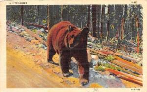 Bear 1939 