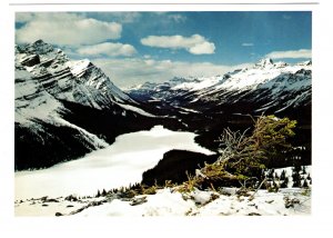 Peyto Lake, Banff National Park, Alberta, Canoe