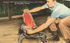 Vintage Postcard Dangerous Man Killing Alligators Casper's Gator Jungle Florida