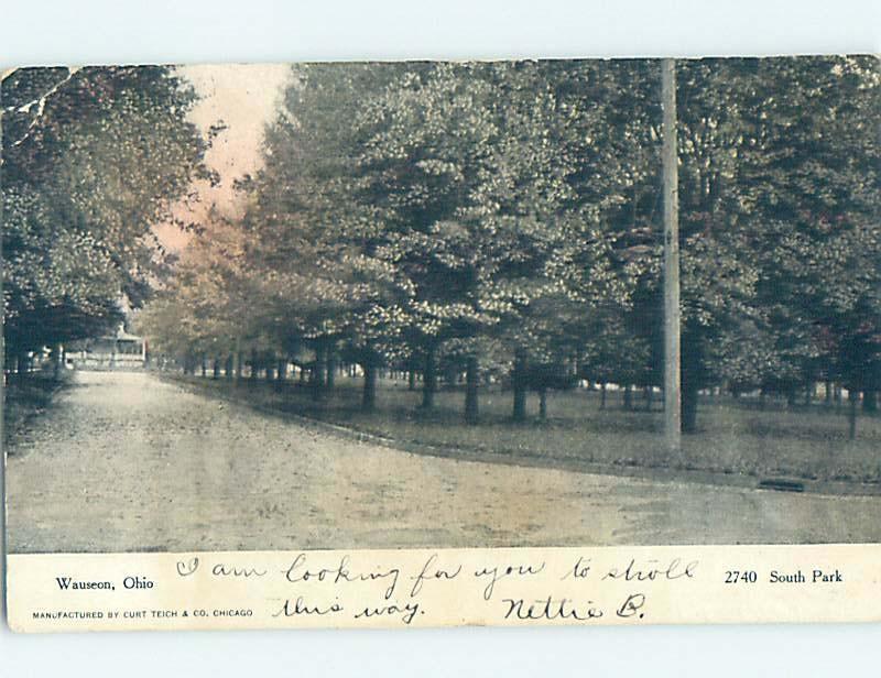 Pre-1907 PARK SCENE Wauseon - Near Toledo Ohio OH H4210