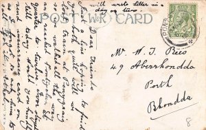 Animals Anthropomorphic Donkey in Suit Smoking Cigarette 1915 postcard B921