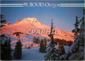 Postcard Modern MT Hood Oregon Beautiful alpenglow on the tallest peak in Oregon