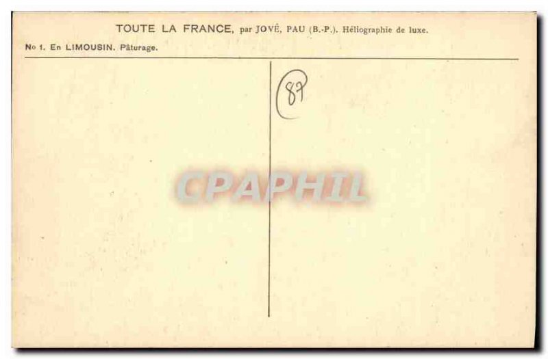 Old Postcard In Limousin Sheep Pasture