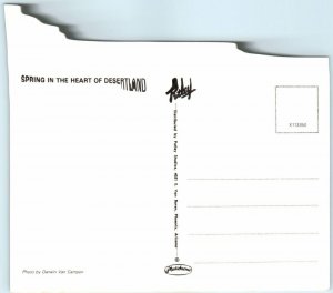 M-29131 Spring in the Heart of Desertland