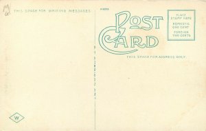 c1920 Postcard; Spartanburg SC, Y.M.C.A. Building, Street View Unposted