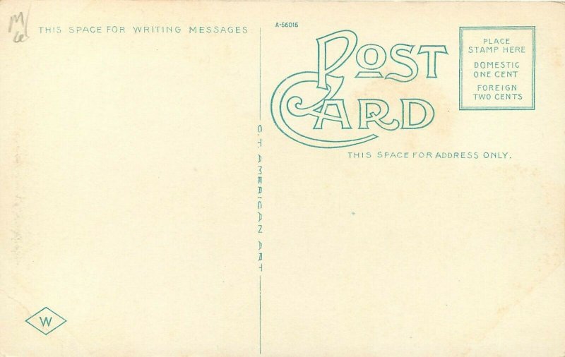 c1920 Postcard; Spartanburg SC, Y.M.C.A. Building, Street View Unposted