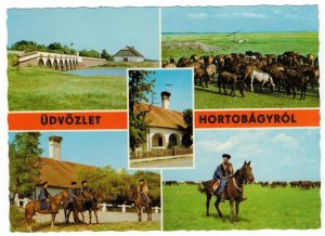 Postcard Hungary 1970 Hortobagy Horses Traditional Cowboys Bridge