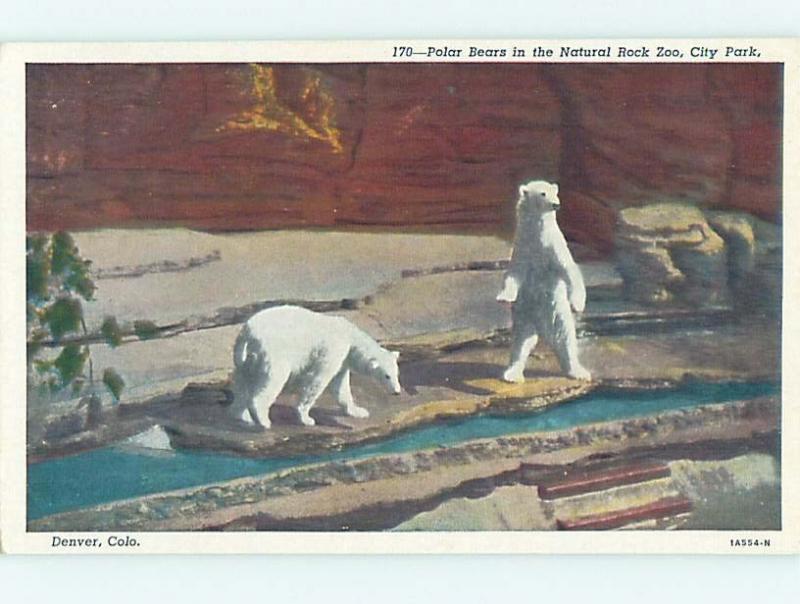 Unused Linen POLAR BEARS AT NATURAL ROCK ZOO Denver Colorado CO hk6441