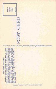 Field Building Chicago Illinois linen postcard