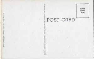 Greetings from Miami Florida Big Letter Curt Teich Wavy Bottom