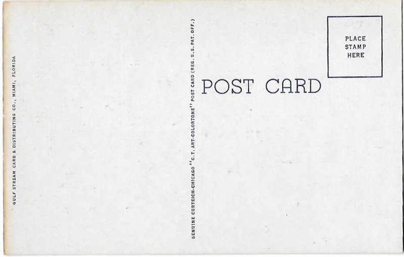 Greetings from Miami Florida Big Letter Curt Teich Wavy Bottom