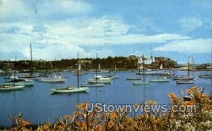 Harbor for Many Sailing Boats - Cape Cod, Massachusetts MA  