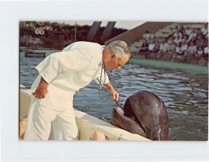 Postcard Doctor Brushes Teeth Of Trained Whale, Marineland Of Florida