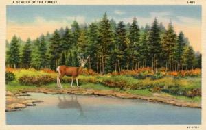 Denizen of the Forest (Deer)
