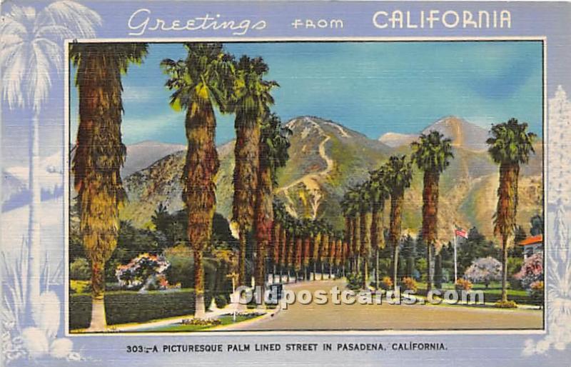 Greetings from Pitcutesque Palm Lined Street in Pasadena, California, CA, USA...