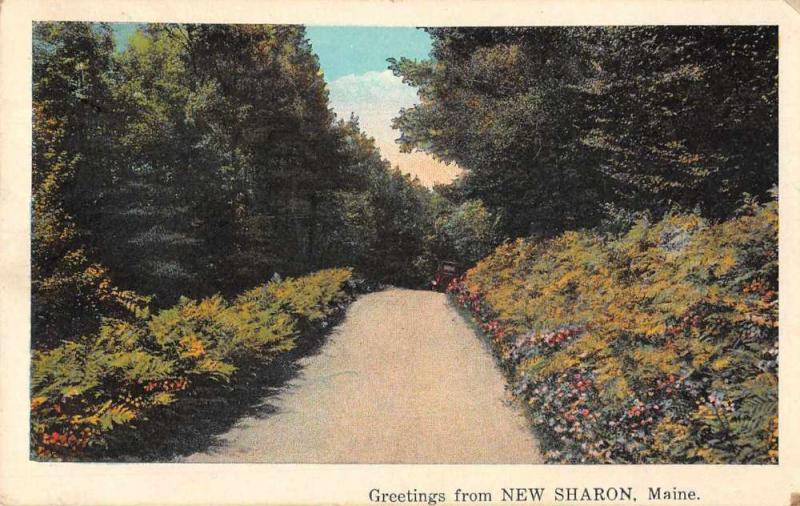 New Sharon Maine Greetings Road Scenic Vintage Postcard JD933992