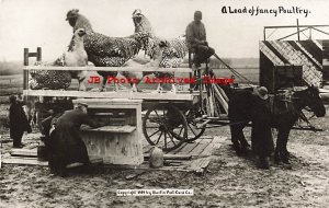 Exaggeration, RPPC, WH Martin, Farmer with A Load of Fancy Poultry