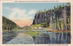 Obsidian Cliff and Beaver Lake Yellowstone National Park Curteich