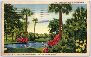 Postcard - A Tropical Beauty Spot, Lily Pond, Lake Eola - Orlando, Florida