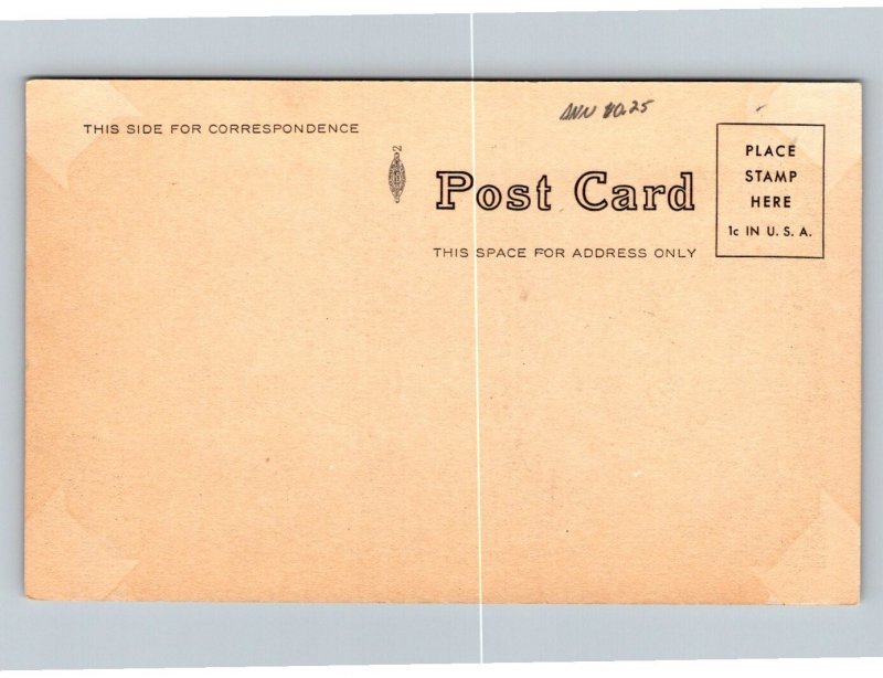 Lake Cuba  New York  Postcard